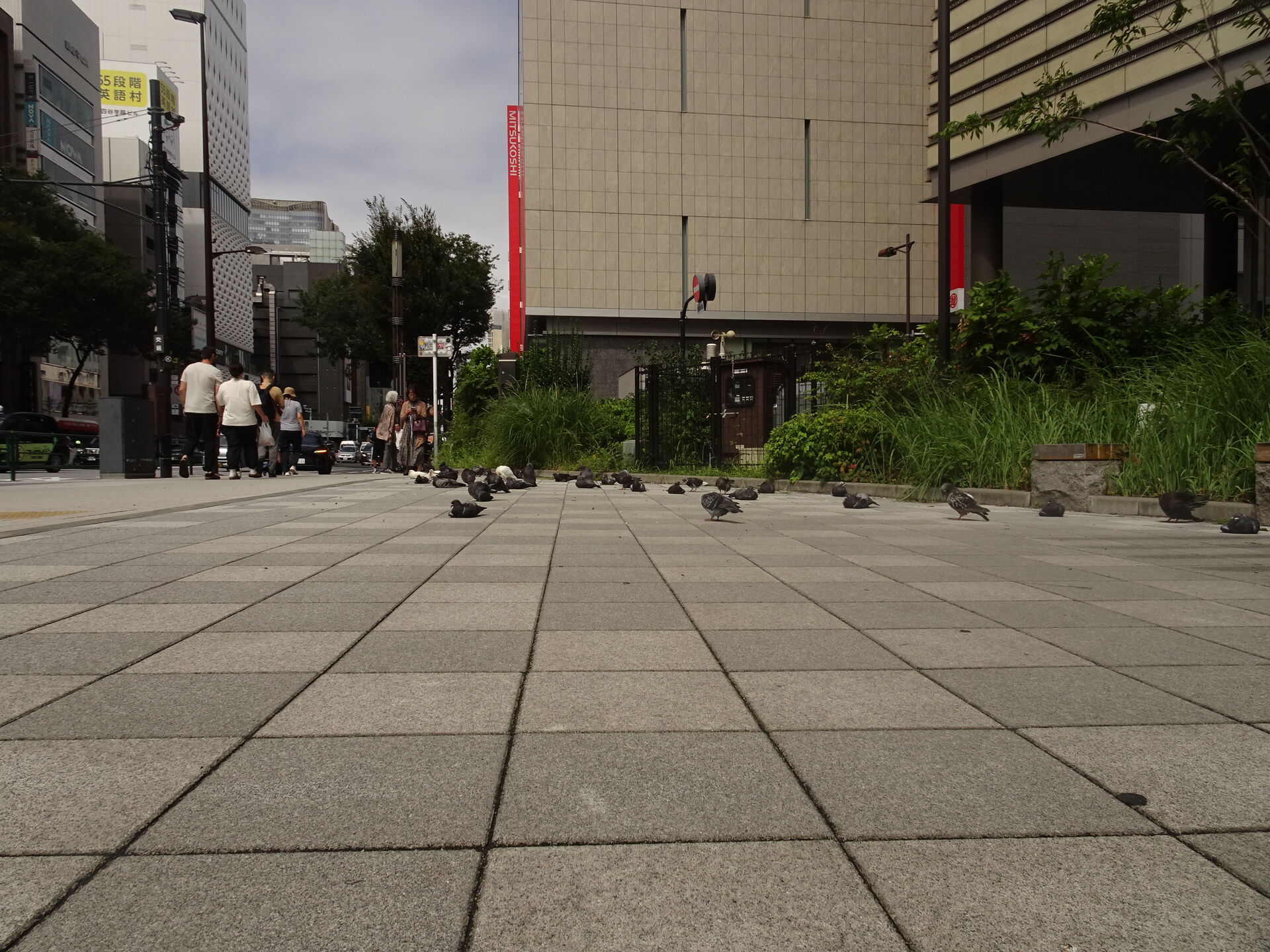 Outdoor, Land, Road, Street